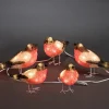 Konstsmide, guirlandes lumineuses de Noël Oiseaux Lumineux Led, 5 Rouge-Gorge Best