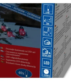Konstsmide, guirlandes lumineuses de Noël Oiseaux Lumineux Led, 5 Rouge-Gorge Best