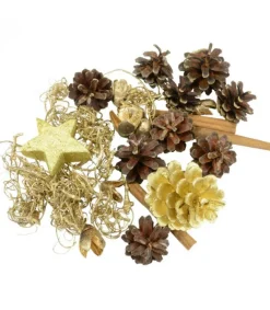 Riffelmacher et Weinberger Pot Pourri Melange Pomme De Pin, Cannelle, Mousse, Déco, 100 G Best